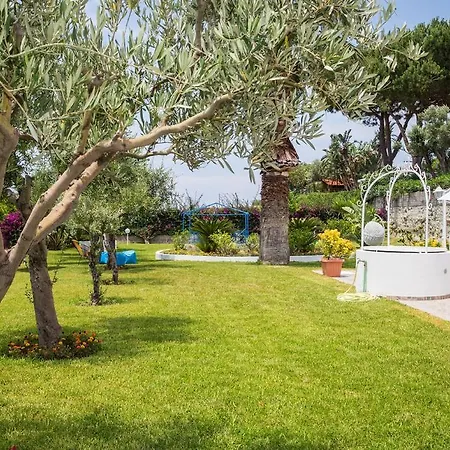 Relais Romildanna فندق مبيت وإفطار Forio di Ischia